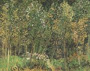Vincent Van Gogh The Grove (nn04) Germany oil painting reproduction